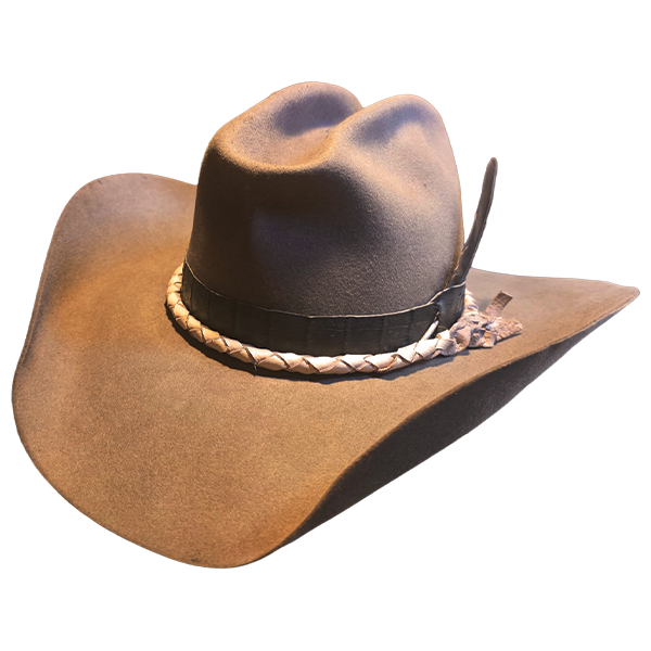 Cattle Driver