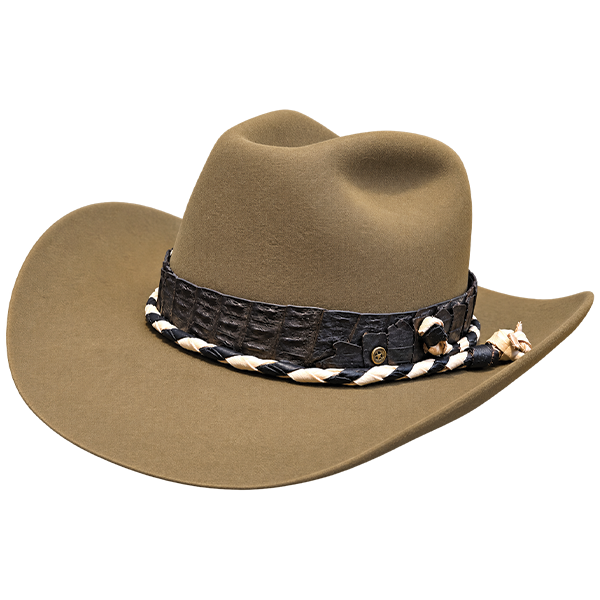 The Bandit